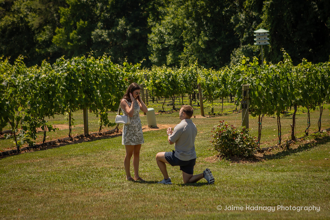 Surprise Proposal at Vineyard in Western NC | Asheville Engagement Photographer