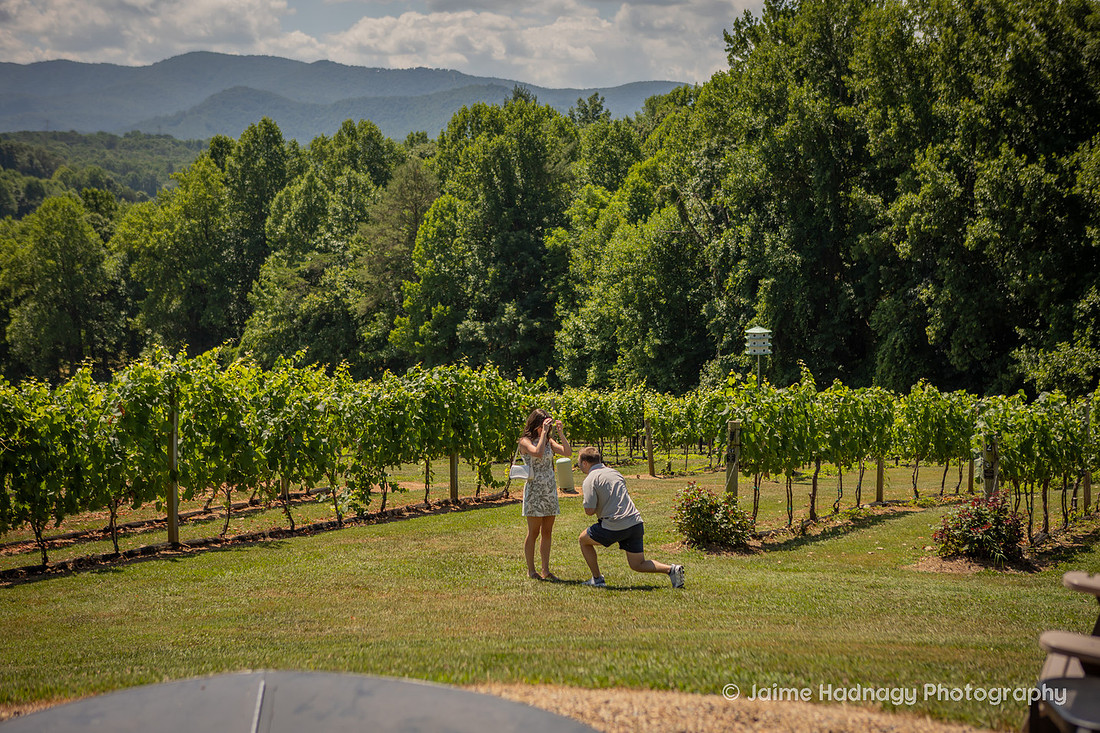 Surprise Proposal at Vineyard in Western NC | Asheville Engagement Photographer