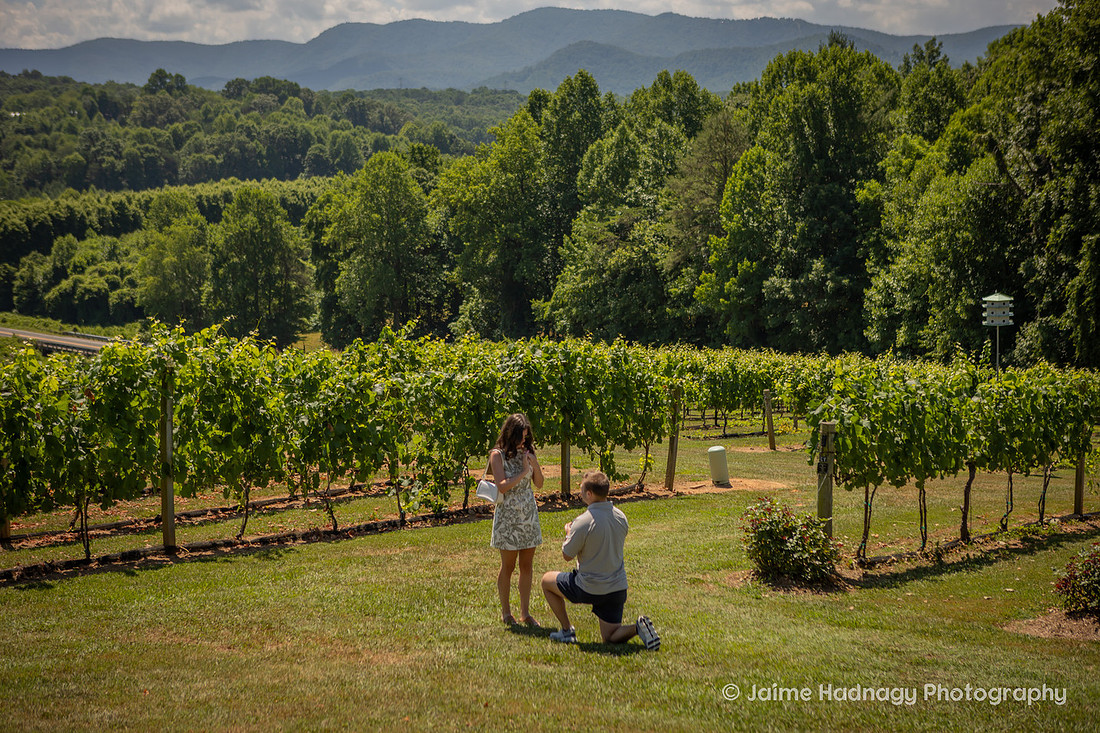 Surprise Proposal at Vineyard in Western NC | Asheville Engagement Photographer