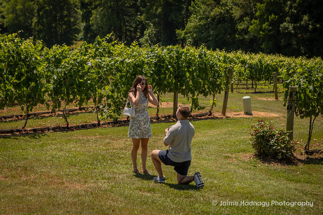 Surprise Proposal at Vineyard in Western NC | Asheville Engagement Photographer