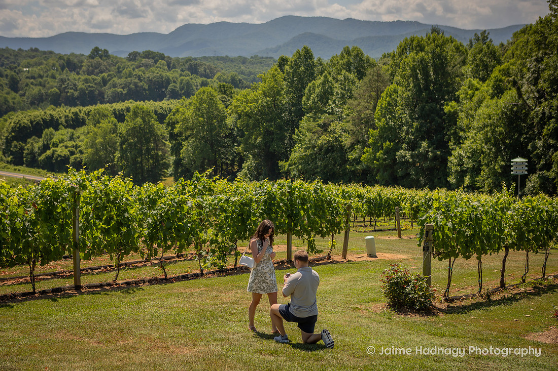 Surprise Proposal at Vineyard in Western NC | Asheville Engagement Photographer