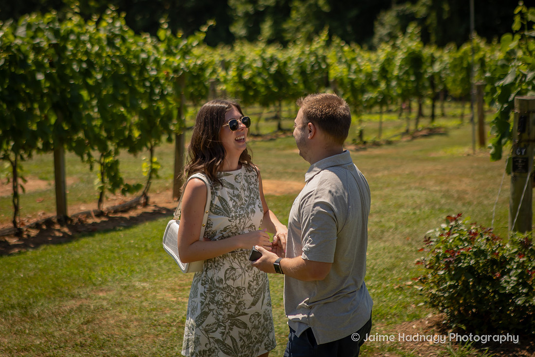 Proposing at a Winery in Western NC in the Mountains