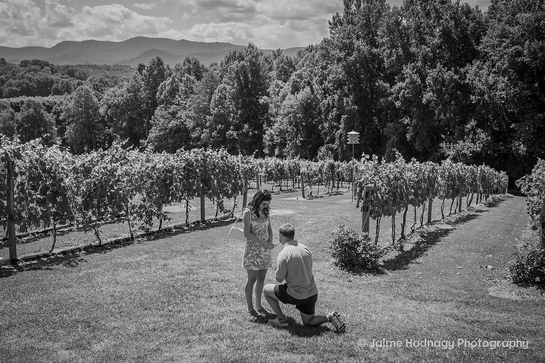 Proposing at a Winery in Western NC in the Mountains