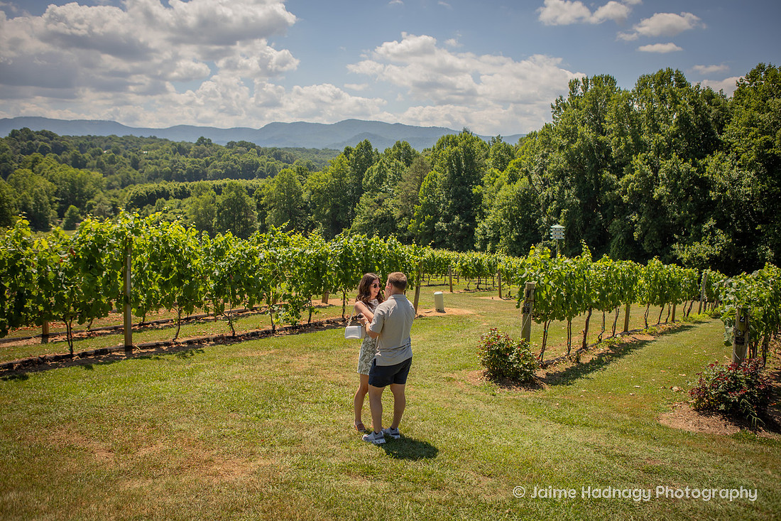 Proposing at a Winery in Western NC in the Mountains