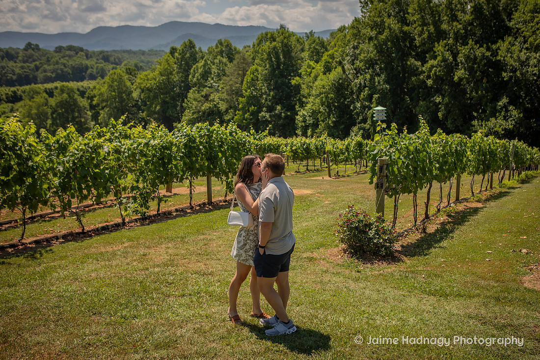 Proposing at a Winery in Western NC in the Mountains