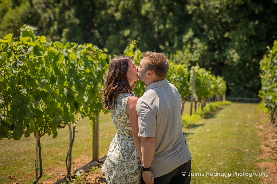 Proposing at a Winery in Western NC in the Mountains