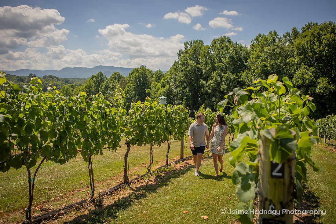 Proposing at a Winery in Western NC in the Mountains