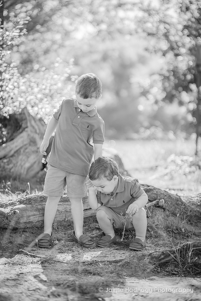 Family Photos with Kids in Asheville