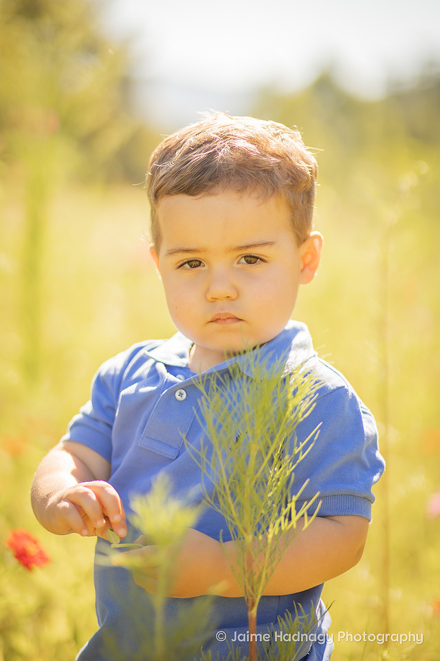 Asheville Kids Photographer