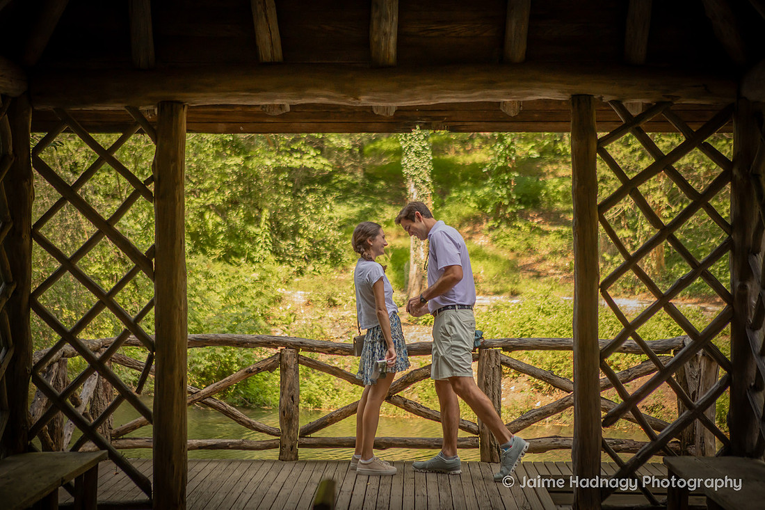 Surprise Proposal at the Bass Pond at the Biltmore Estate | Asheville Photographer