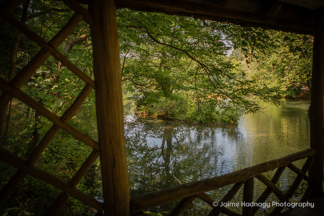  Bass Pond at the Biltmore Estate