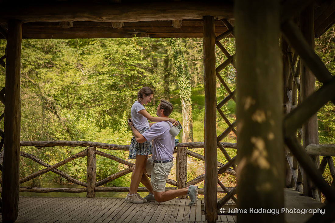 Surprise Proposal at the Bass Pond at the Biltmore Estate | Asheville Photographer