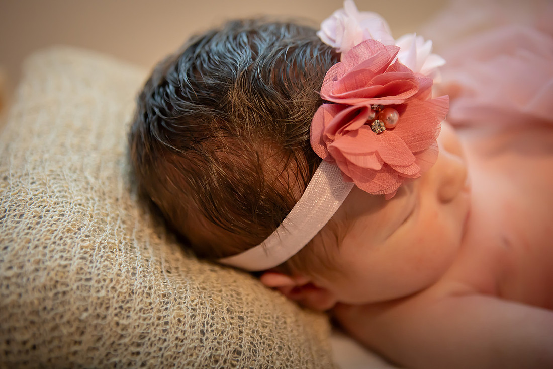 In home Newborn Photoshoot with props like a tiny bed and basket | Asheville Baby Photographer