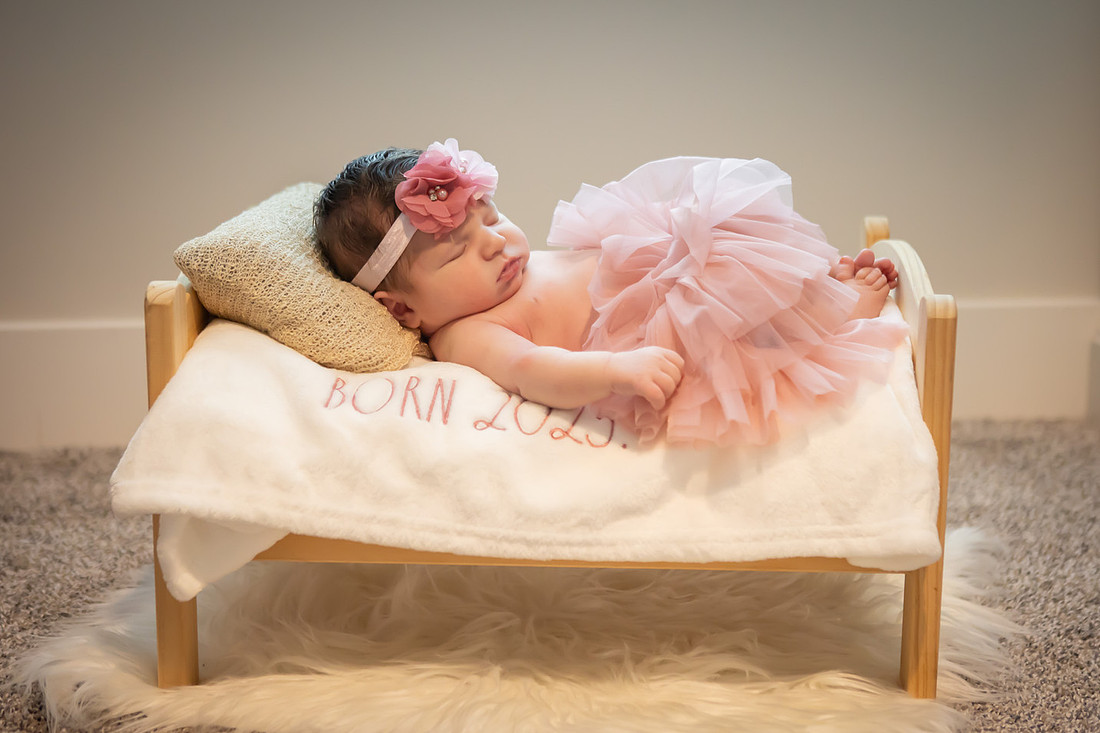 In home Newborn Photoshoot with props like a tiny bed and basket | Asheville Baby Photographer