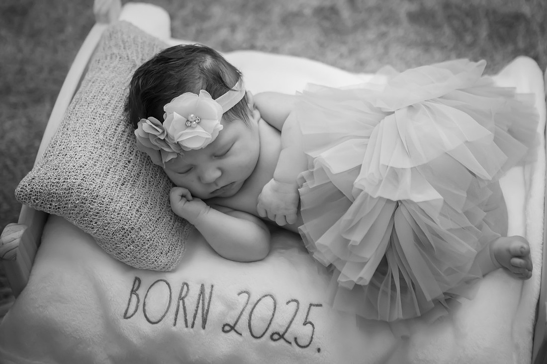 In home Newborn Photoshoot with props like a tiny bed and basket | Asheville Baby Photographer