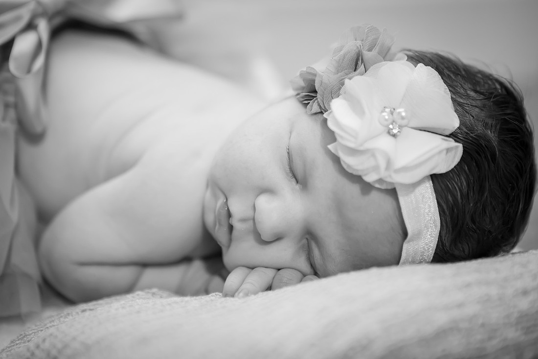 In home Newborn Photoshoot with props like a tiny bed and basket | Asheville Baby Photographer