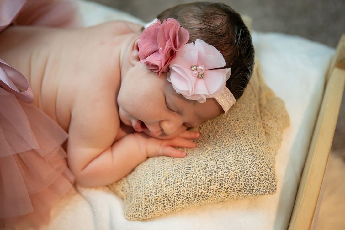 Newborn Baby Girl Photoshoot | Asheville Photographer