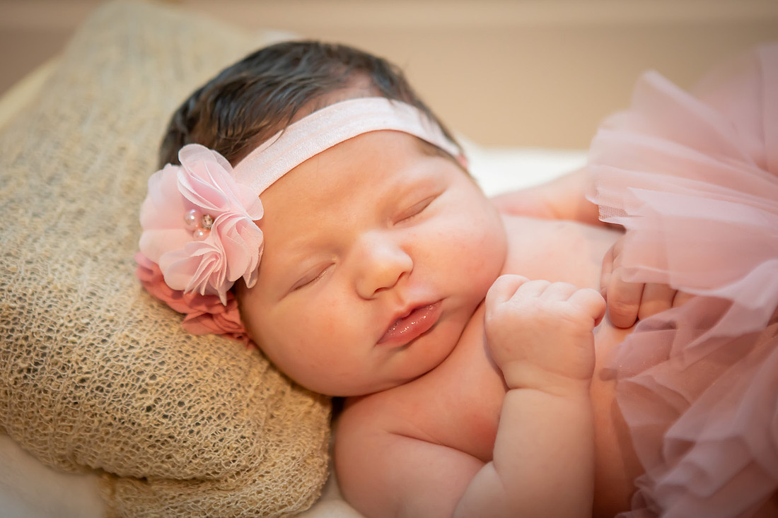 Newborn Baby Girl Photoshoot | Asheville Photographer