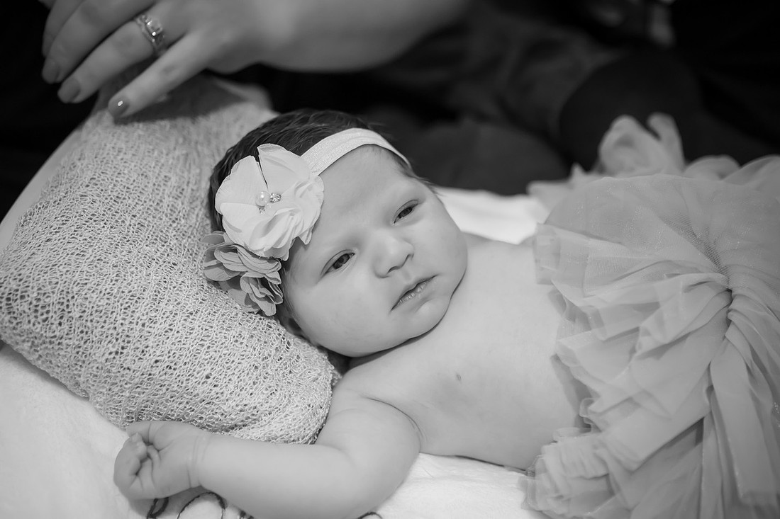 Newborn Baby Girl Photoshoot | Asheville Photographer