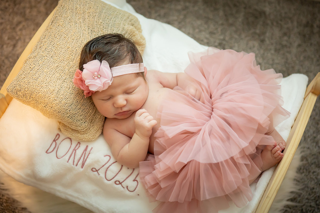 Newborn Baby Girl Photoshoot | Asheville Photographer