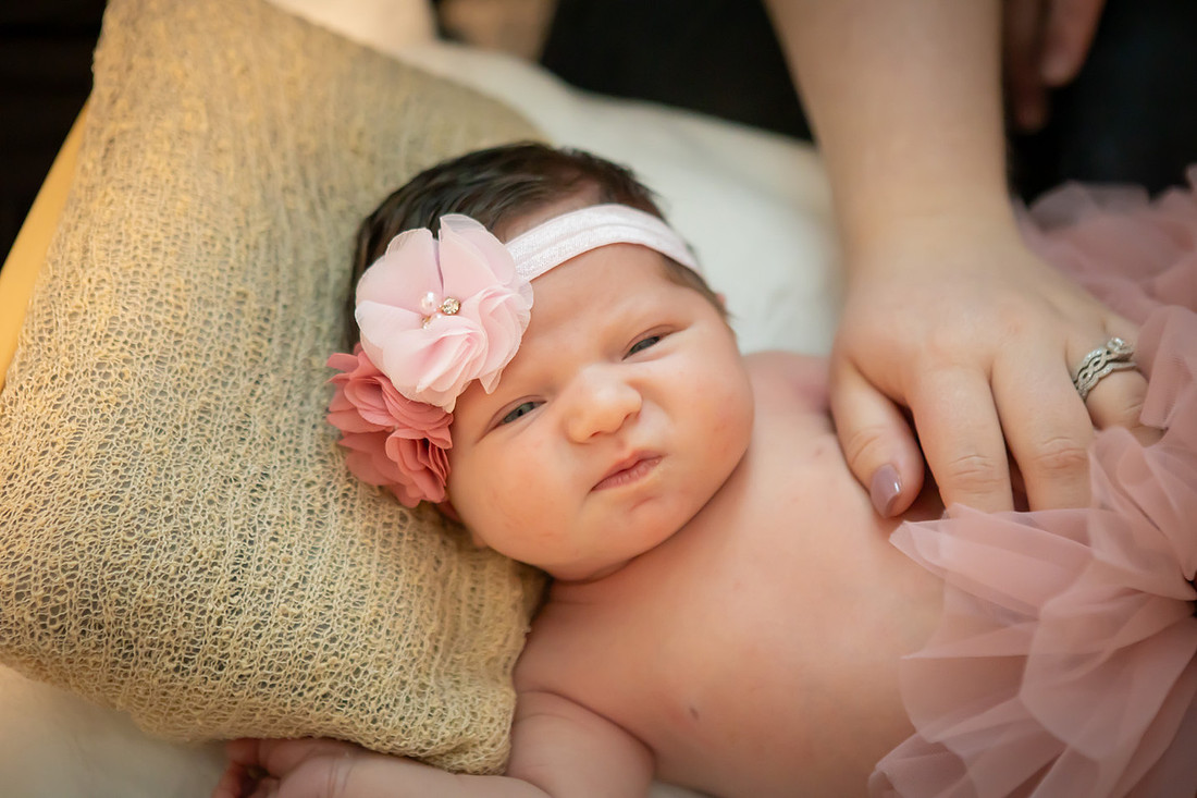 Newborn Baby Girl Photoshoot | Asheville Photographer