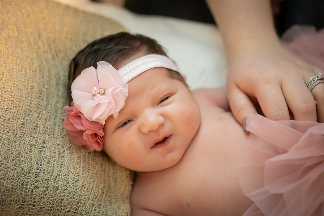 Newborn Baby Girl Photoshoot | Asheville Photographer