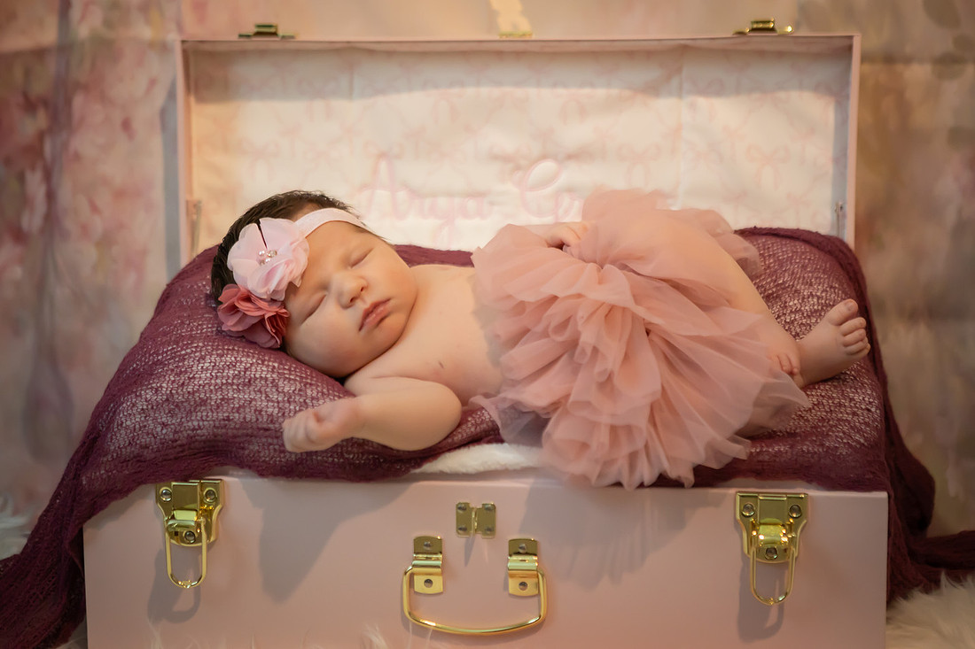 Newborn Baby Girl Photoshoot | Asheville Photographer