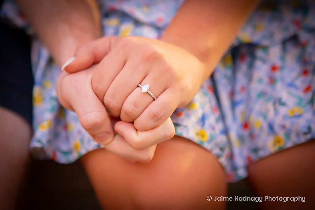 Engagement Celebration