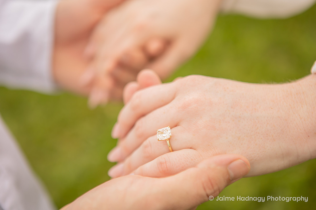 Romantic Biltmore Estate Proposal | Asheville Engagement Photographer