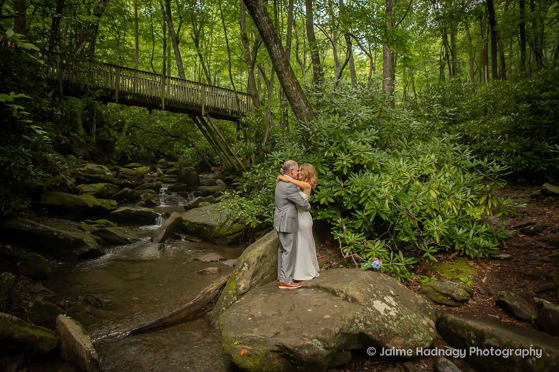 Wedding Photography Black Mountain