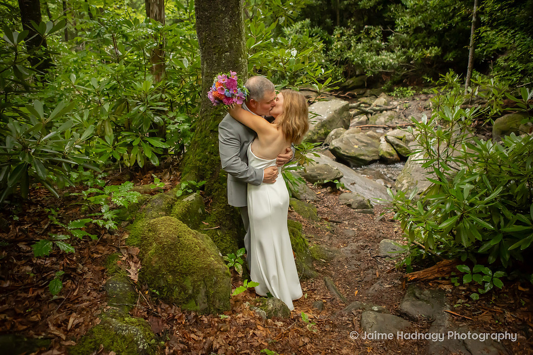 Wedding Photography Black Mountain