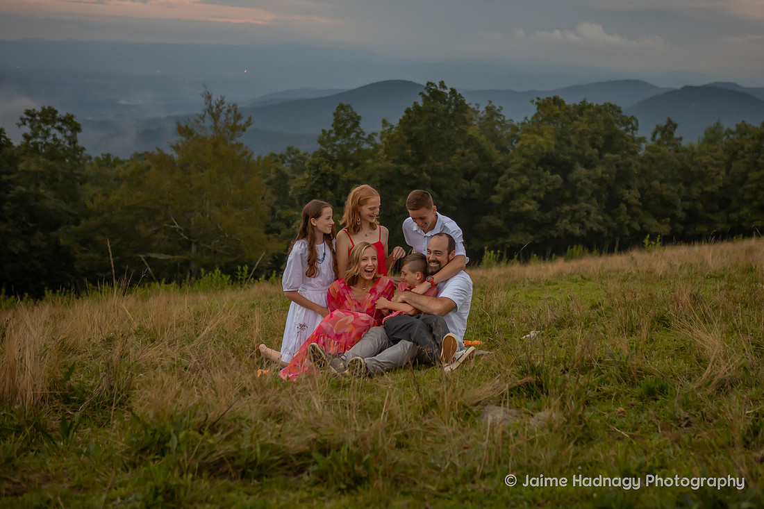 Nature Inspired Family Photo Session in the Mountains | Asheville Photographer
