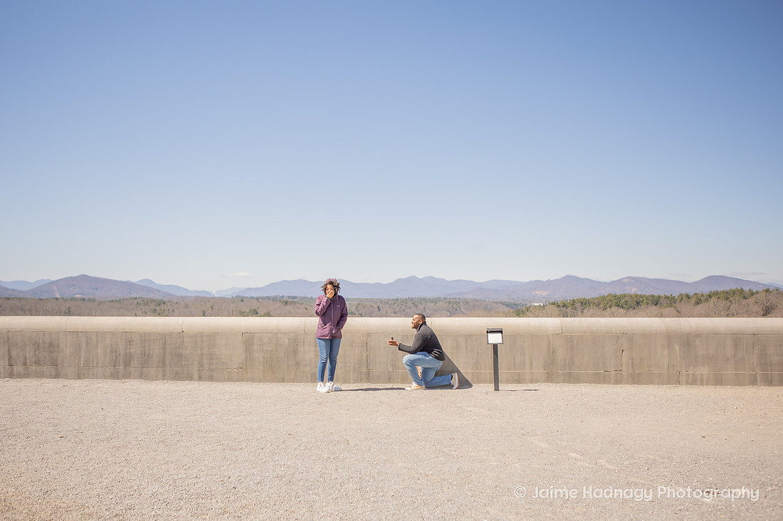 Proposal by the Wall to the Left of the Biltmore House