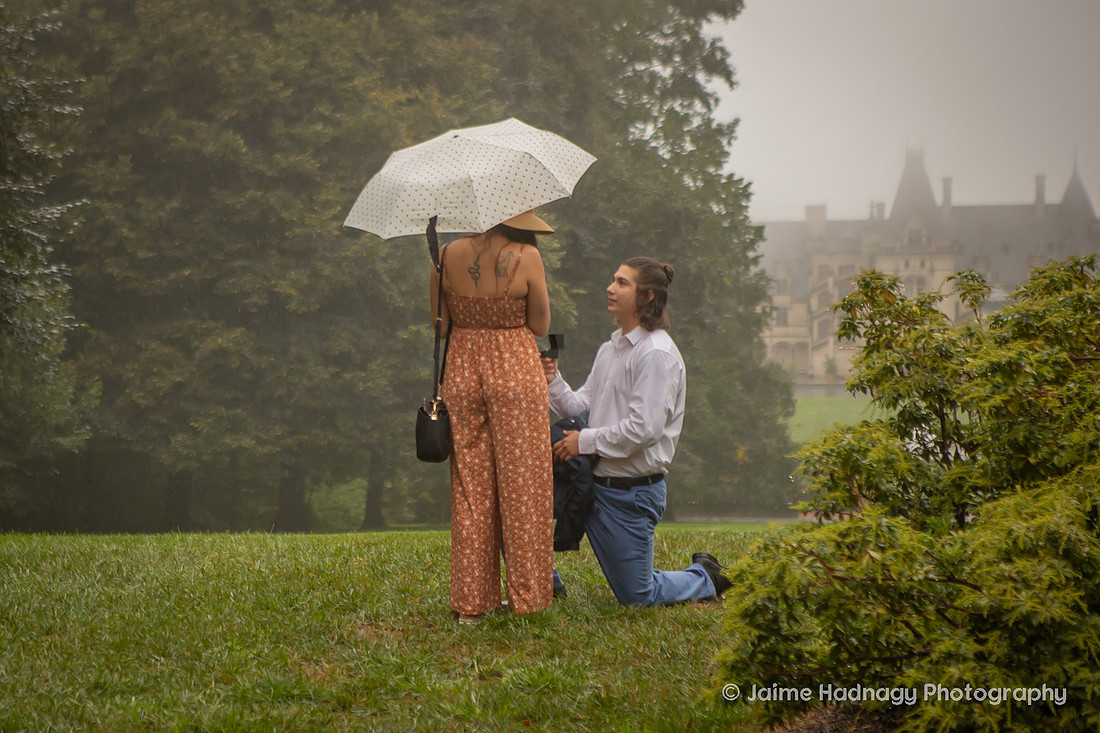 Proposal at the Top of Diana Hill Overlooking the BIltmore House