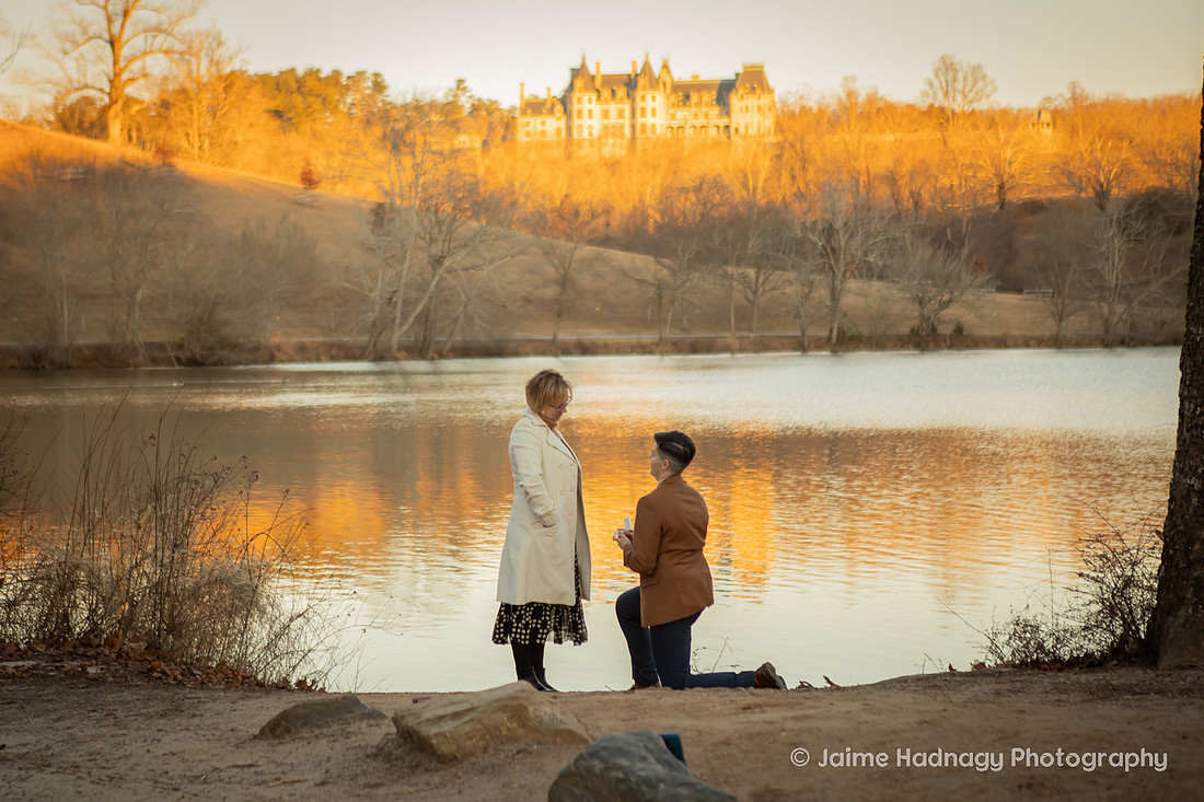 Proposal the the Lagoon at the Biltmore Estate