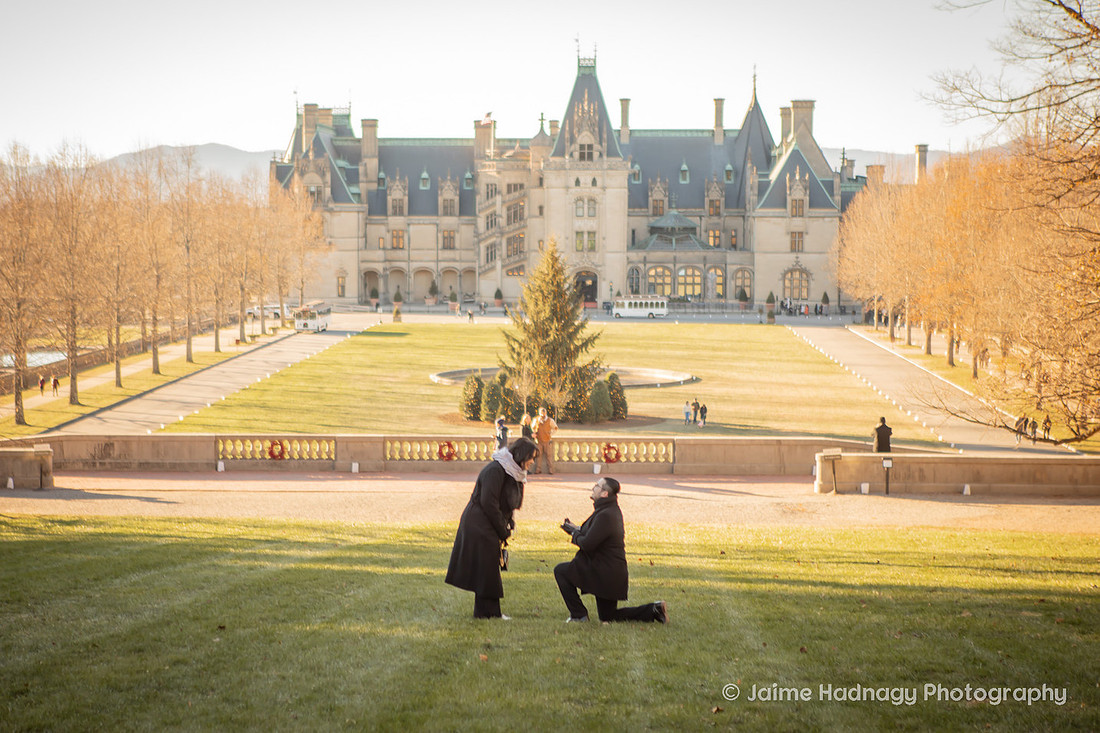 Proposal at the bottom of Diana Hill