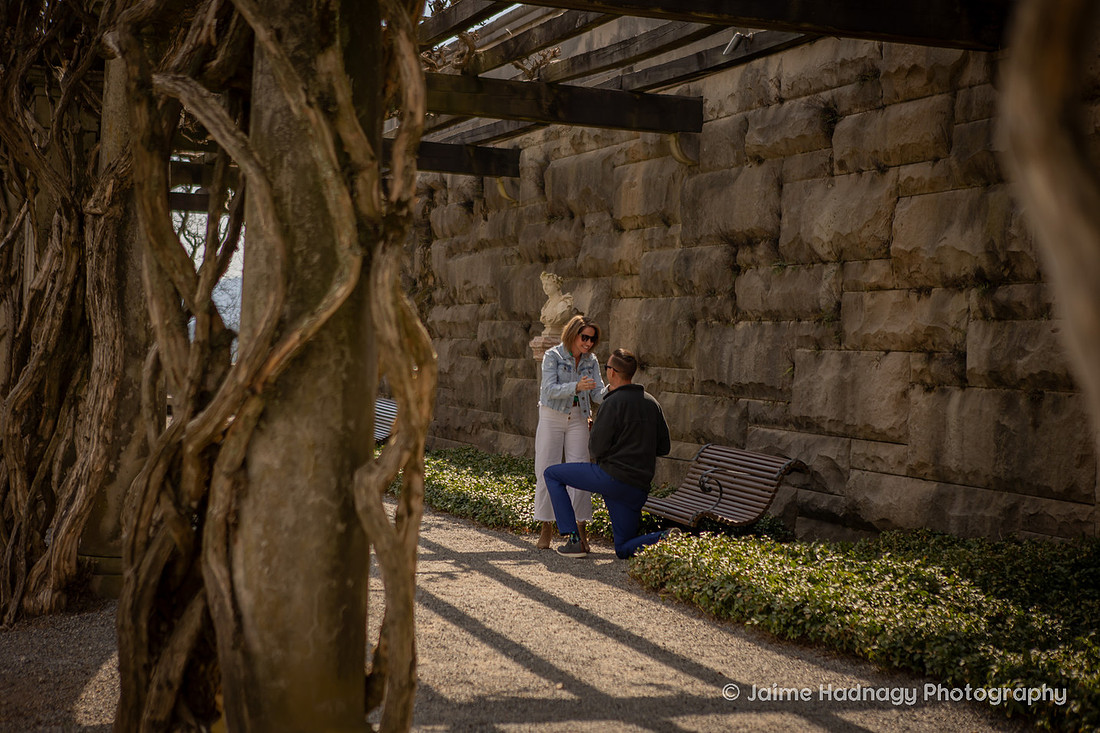 Proposal under the Pergola at the Biltmore Estate