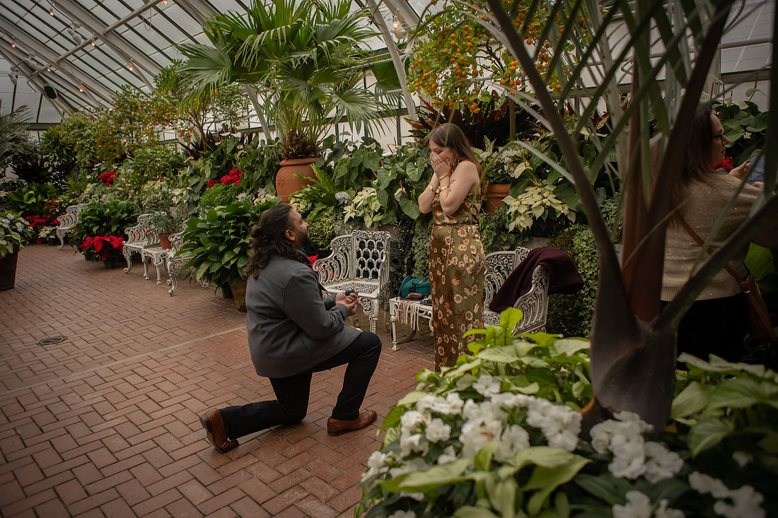 Getting Engaged inside the Conservatory of the Biltmore