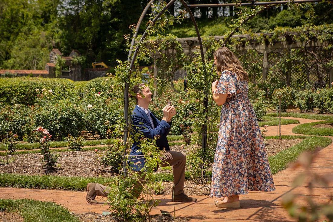 Proposing at the walled garden or the rose garden at the Biltmore Estate