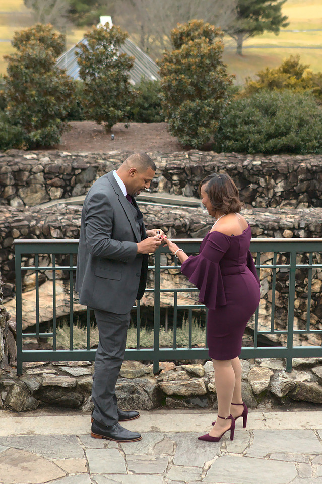 Asheville Surprise Proposal Photographer
