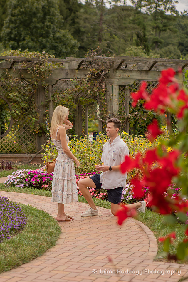 Surprise Proposal at The Biltmore Estate Walled Gardens | Asheville Engagement Photographer