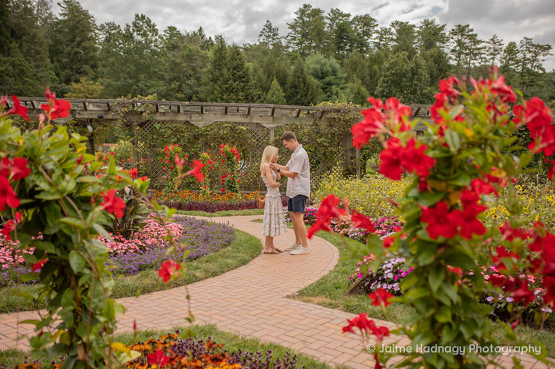Surprise Proposal at The Biltmore Estate Walled Gardens | Asheville Engagement Photographer