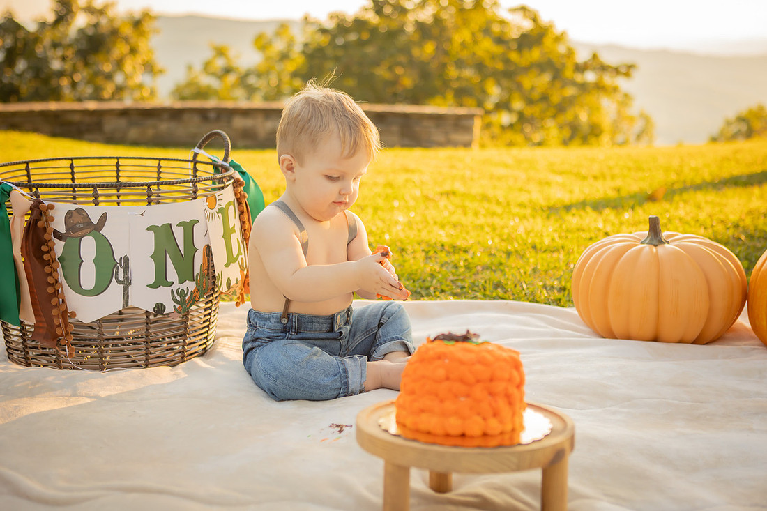 Baby Cake Smash Outdoor Fall Photoshoot | Asheville Photographer