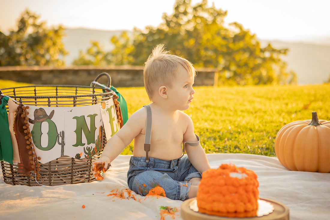 Baby Cake Smash Outdoor Fall Photoshoot | Asheville Photographer