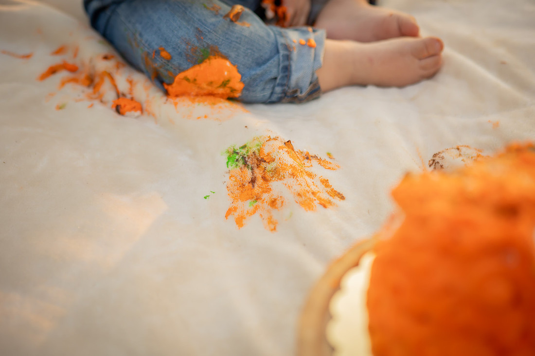 Baby Cake Smash Outdoor Fall Photoshoot | Asheville Photographer