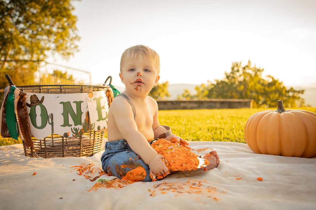 Baby Cake Smash Outdoor Fall Photoshoot | Asheville Photographer