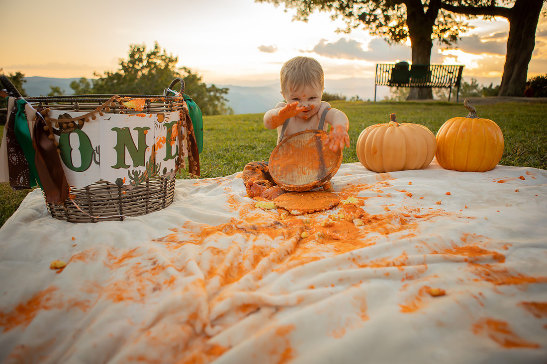 Cake Smash One Year Old Photos | Asheville Baby Photographer