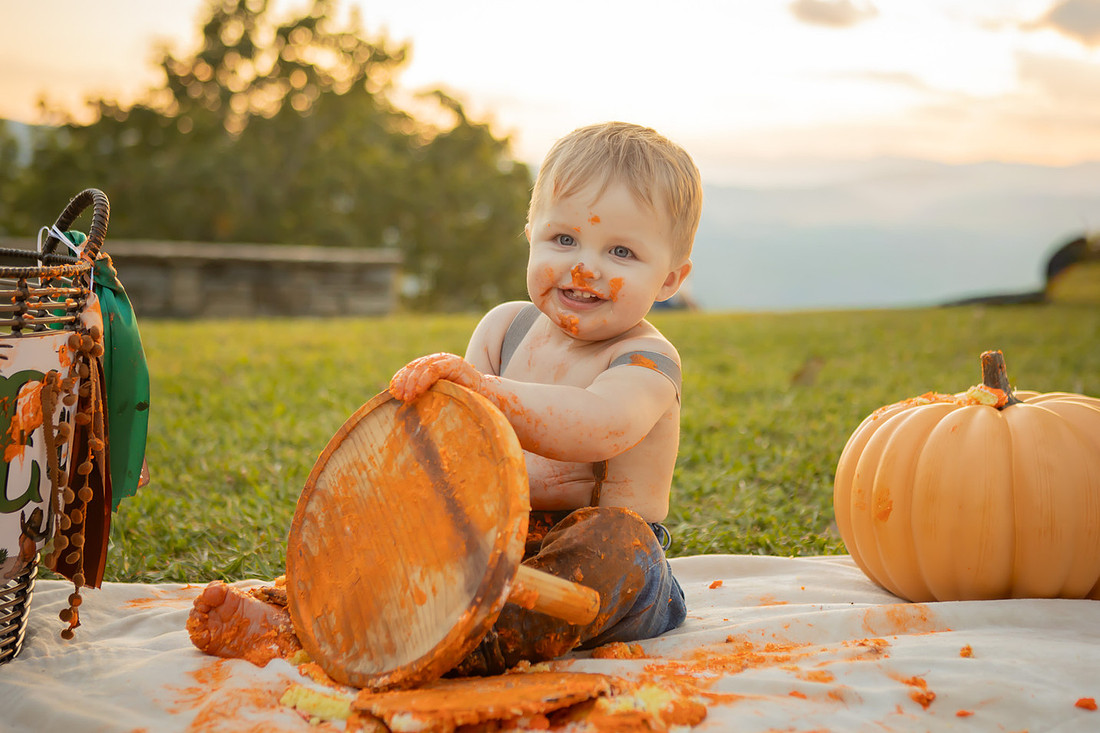 Cake Smash One Year Old Photos | Asheville Baby Photographer