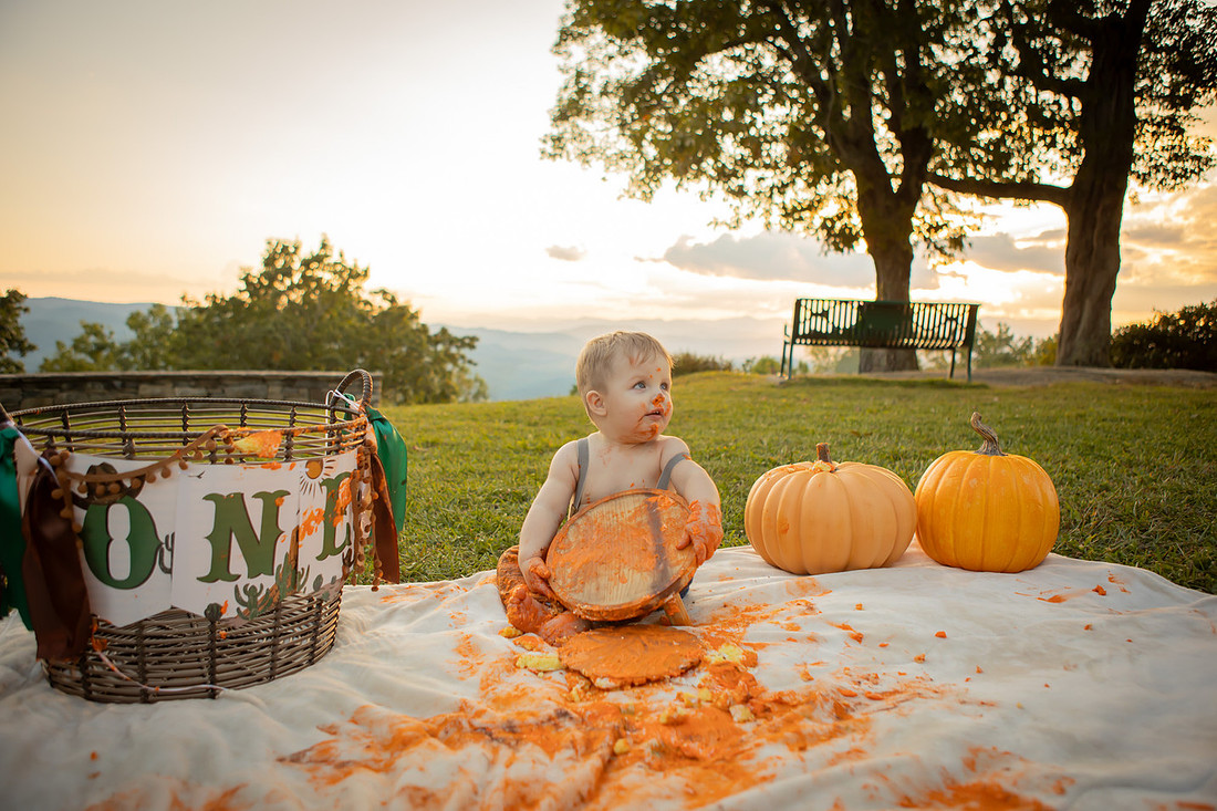 Cake Smash One Year Old Photos | Asheville Baby Photographer