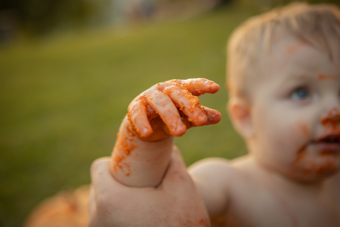 Cake Smash One Year Old Photos | Asheville Baby Photographer